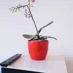 Apartment Bismarck Bach Düsseldorf
