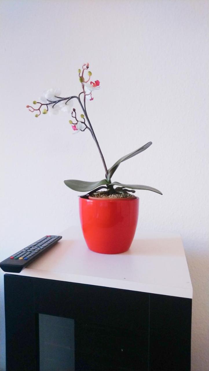 Apartment Bismarck Bach Düsseldorf